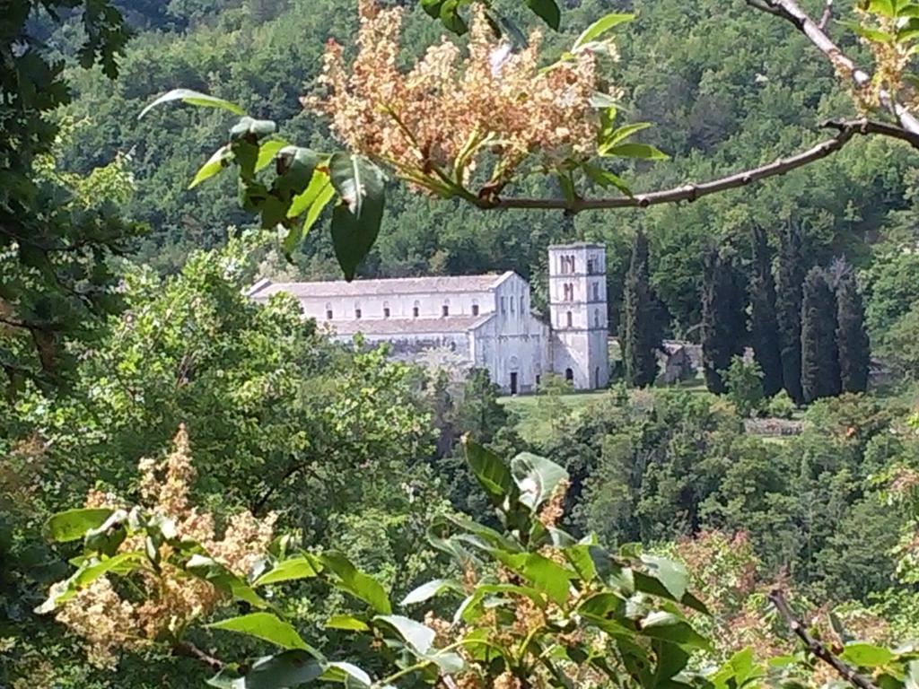 Le Pietre Ricce B&B 로카몬테피아노 외부 사진
