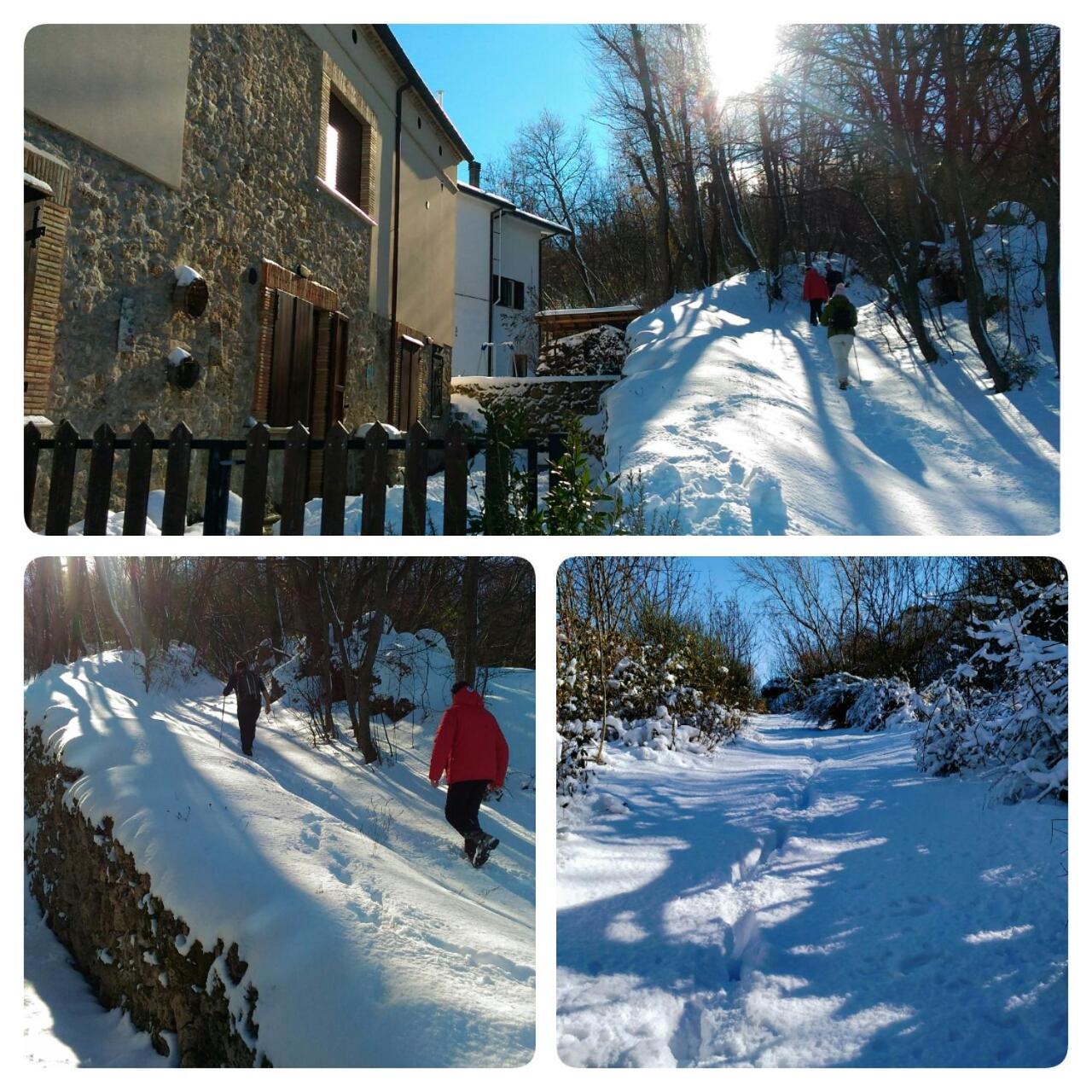 Le Pietre Ricce B&B 로카몬테피아노 외부 사진